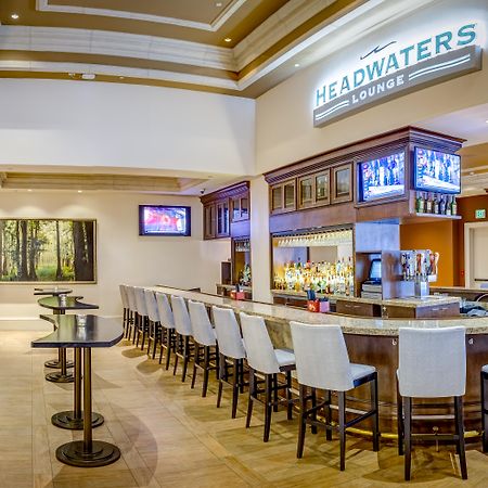 Rosen Shingle Creek Universal Blvd Williamsburg Exterior foto